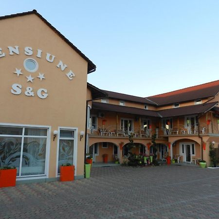 Pensiunea Sergiu & Geanina アラド エクステリア 写真